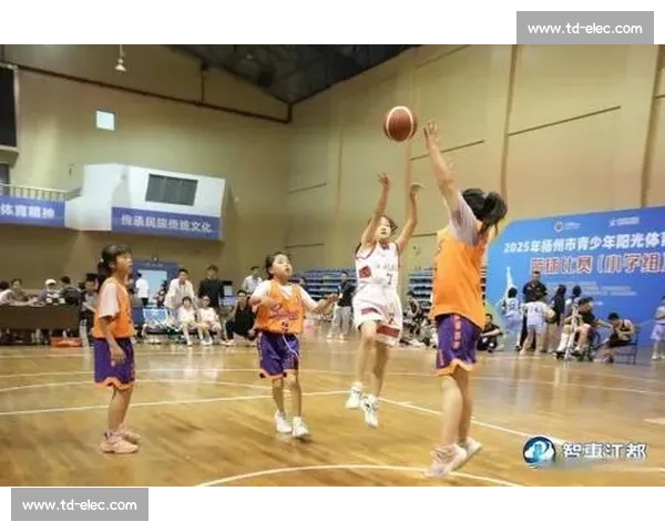 湖南启动篮球技能等级评定 系统化培育青少年人才 湖南启动篮球技能等级评定 系统化培育青少年人才