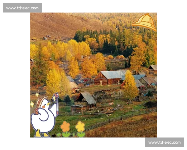 秋日阿勒泰，那束橙色的暖光